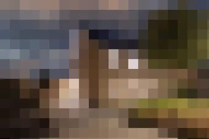 Botter 16 Heerenveen thumbnail 4
