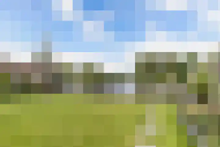 Botter 16 Heerenveen thumbnail 40