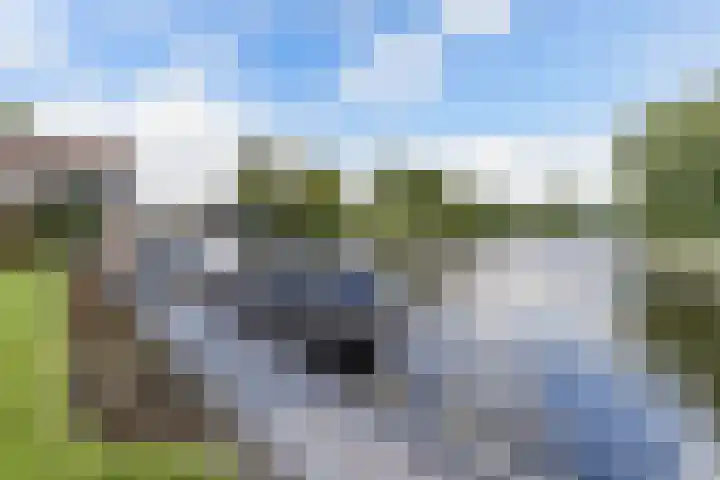 Botter 16 Heerenveen thumbnail 41