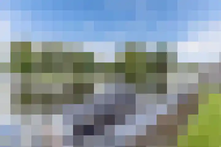 Botter 16 Heerenveen thumbnail 42