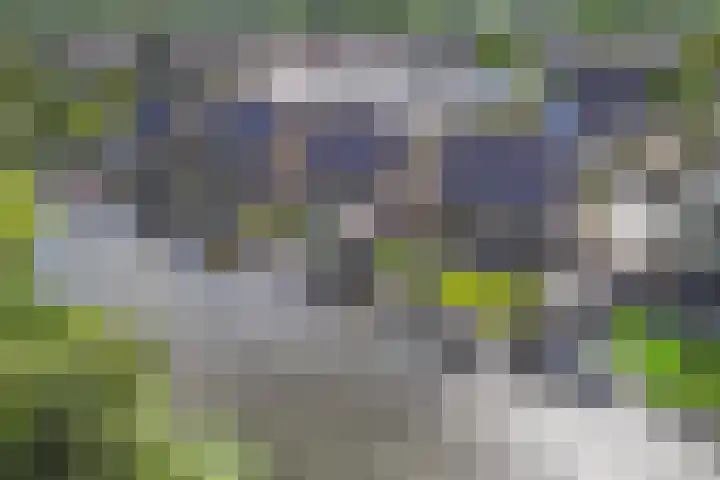 Botter 16 Heerenveen thumbnail 46