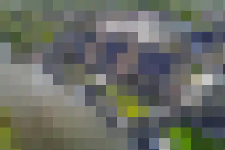 Botter 16 Heerenveen thumbnail 47