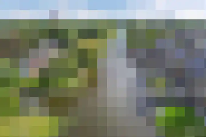Botter 16 Heerenveen thumbnail 48