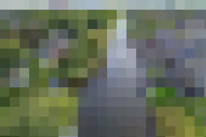 Botter 16 Heerenveen thumbnail 49