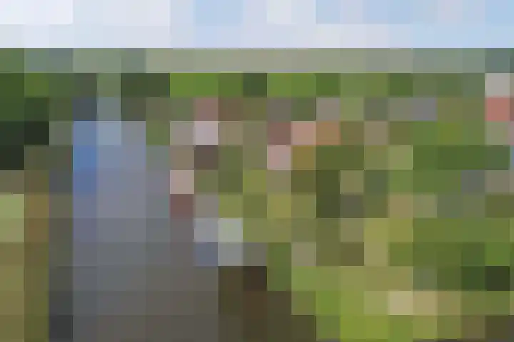Botter 16 Heerenveen thumbnail 50