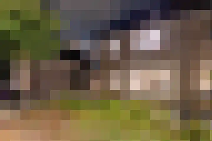 Botter 16 Heerenveen thumbnail 55