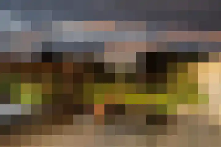 Botter 16 Heerenveen thumbnail 56