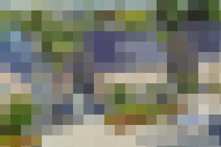 Botter 16 Heerenveen thumbnail 57