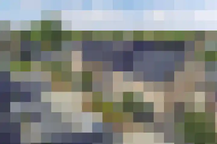 Botter 16 Heerenveen thumbnail 59