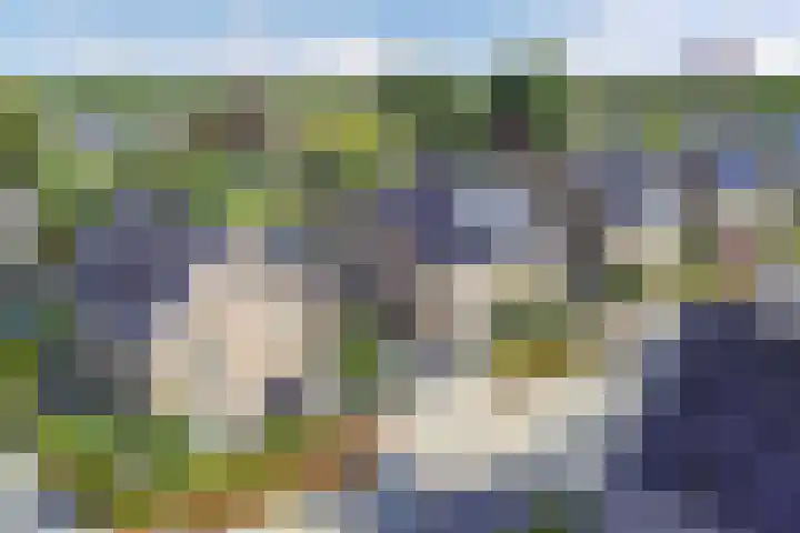 Botter 16 Heerenveen thumbnail 60