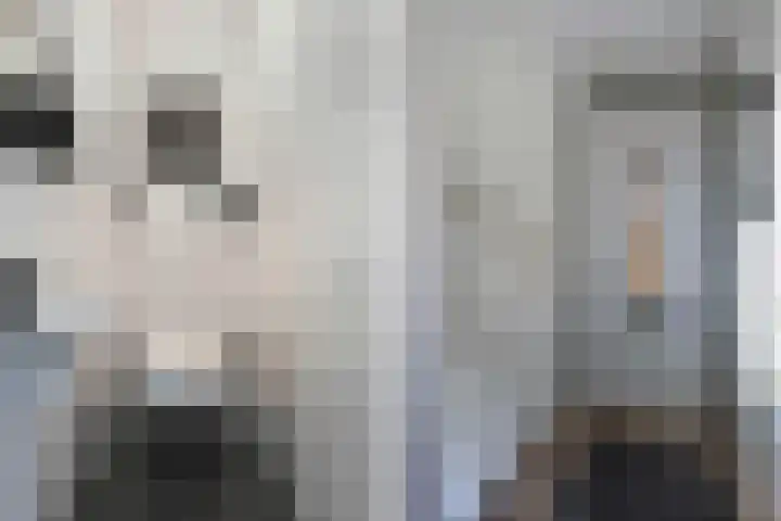 Botter 16 Heerenveen thumbnail 8