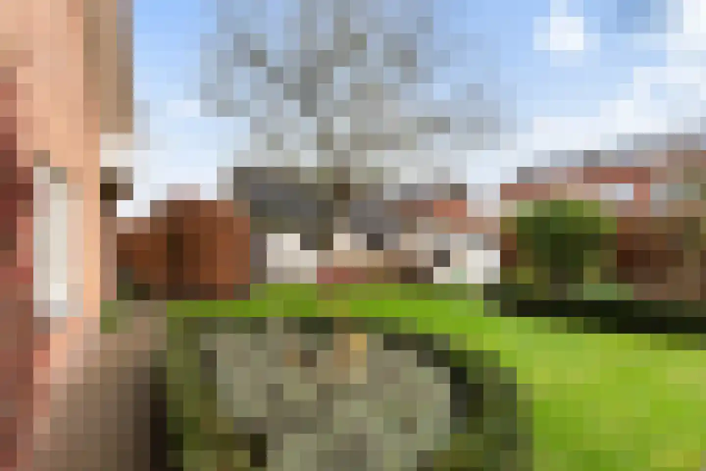 Botter 16 Nijkerk thumbnail 24