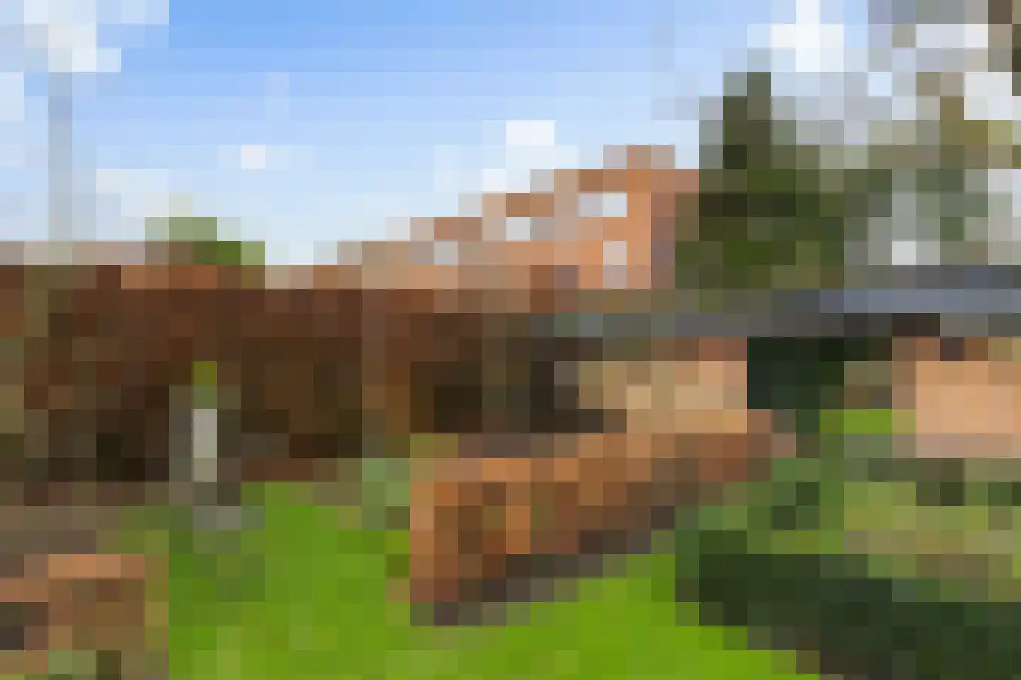 Botter 16 Nijkerk thumbnail 27