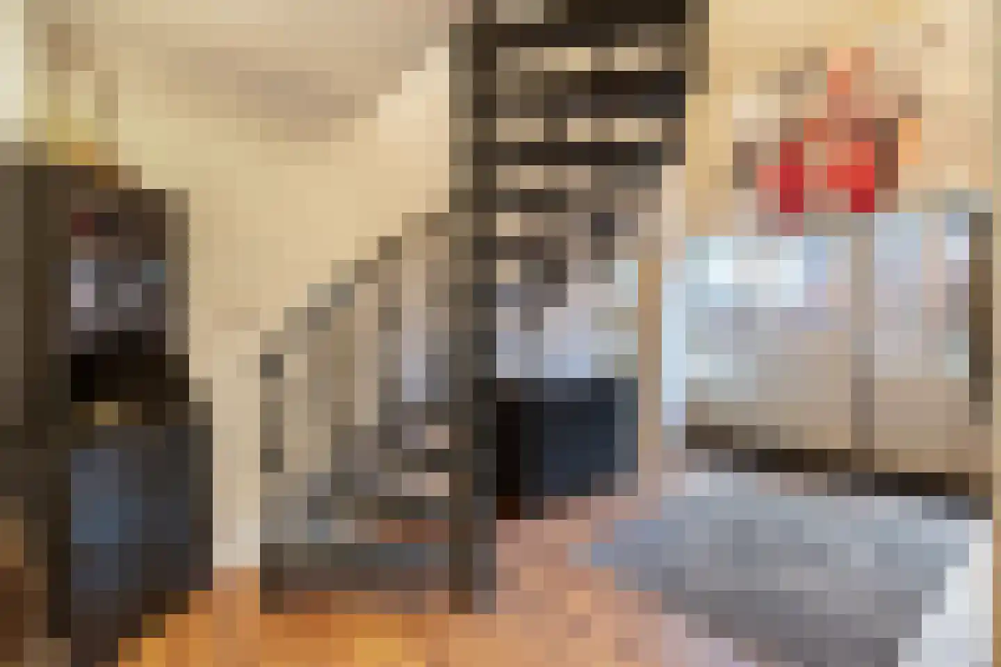 Botter 16 Nijkerk thumbnail 30