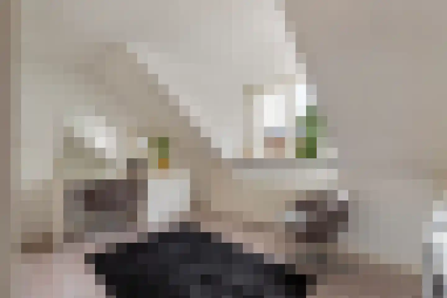 Botter 16 Nijkerk thumbnail 39