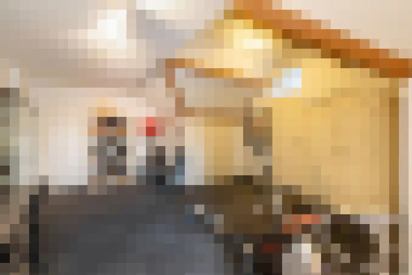 Botter 16 Nijkerk thumbnail 41