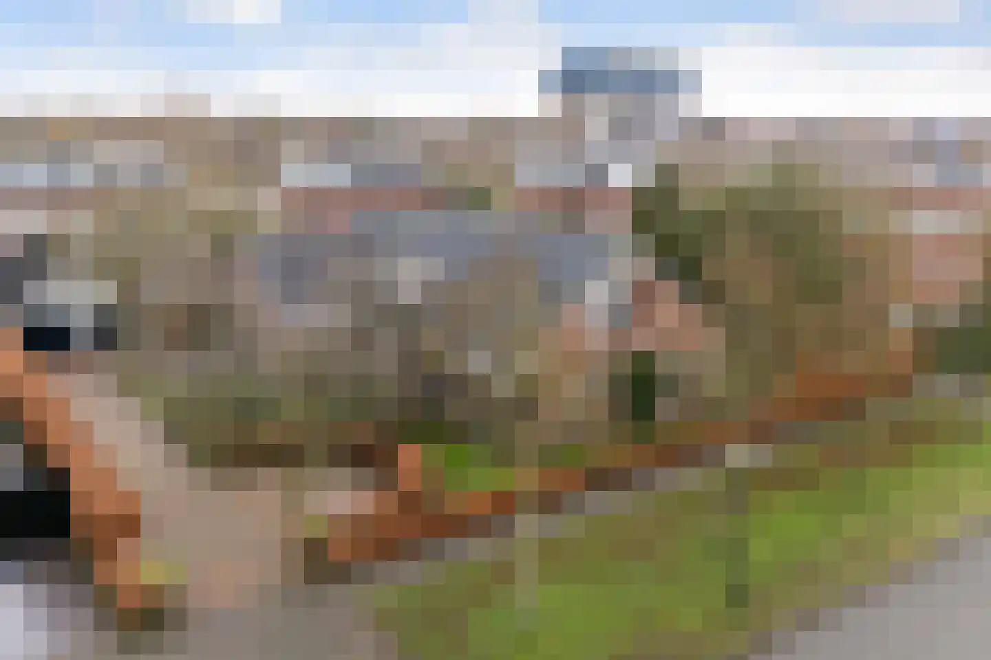 Botter 16 Nijkerk thumbnail 45