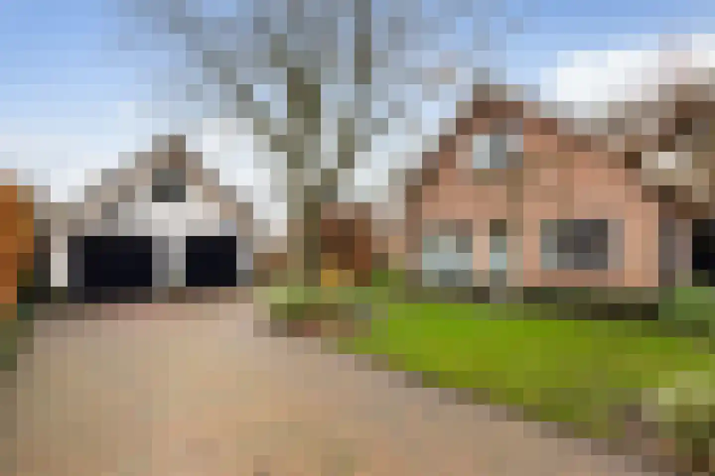Botter 16 Nijkerk thumbnail 5