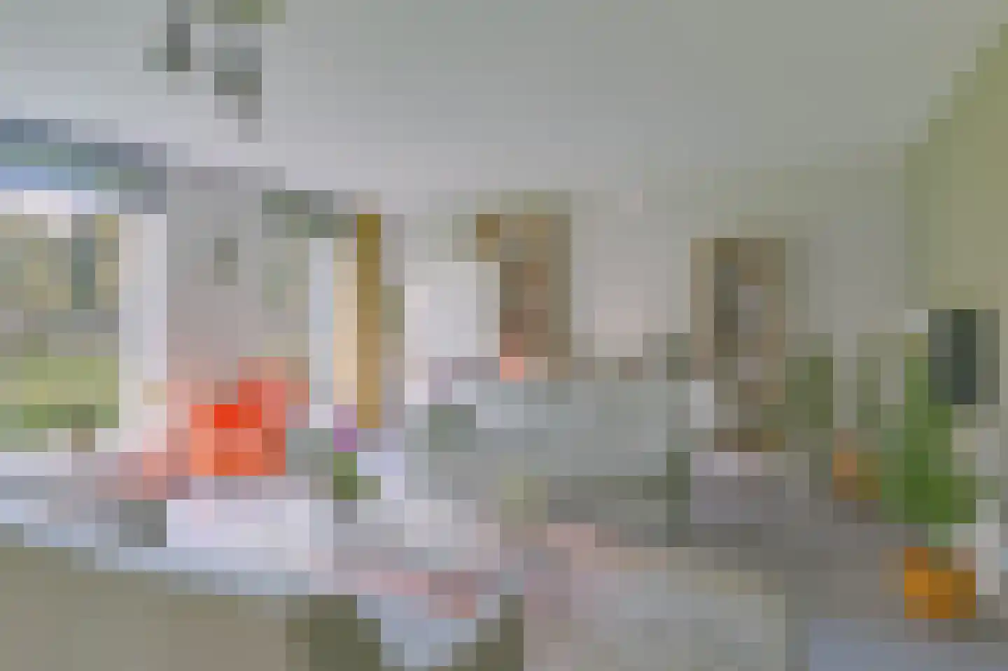 Botter 169 Barendrecht thumbnail 13