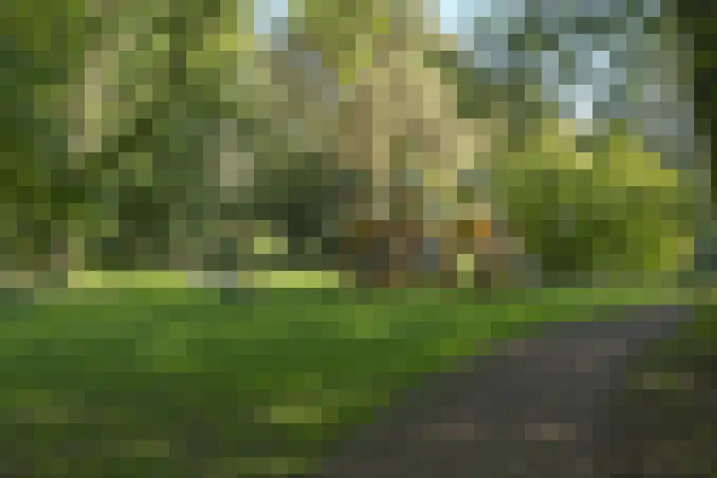 Botter 169 Barendrecht thumbnail 33
