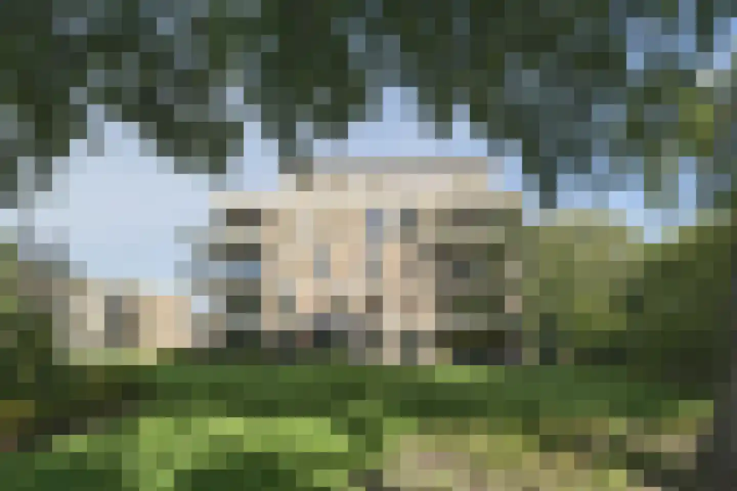 Botter 169 Barendrecht thumbnail 38