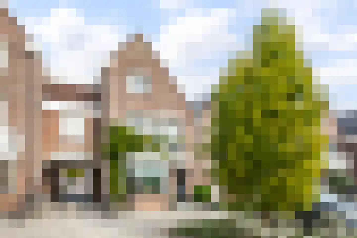 Botter 17 in Volendam