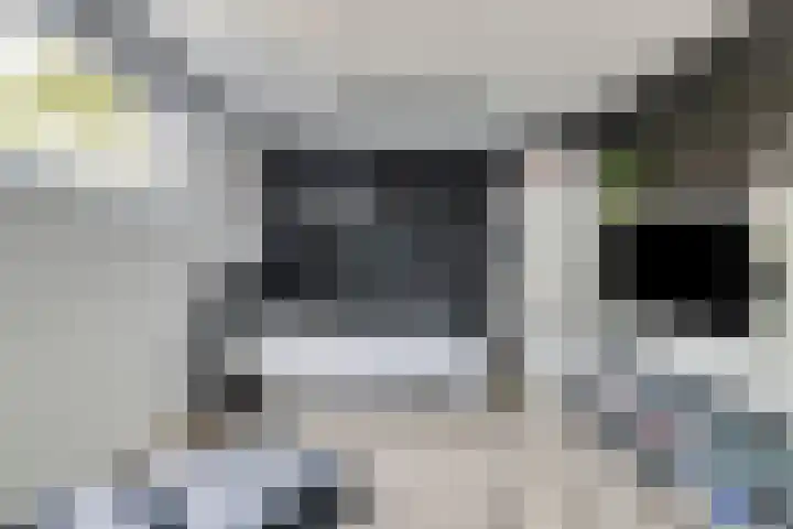 Botter 17 Bergen op Zoom thumbnail 13