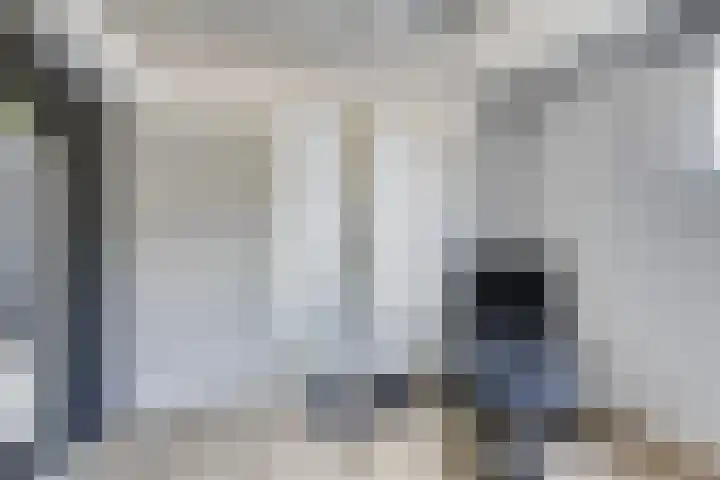 Botter 17 Bergen op Zoom thumbnail 14