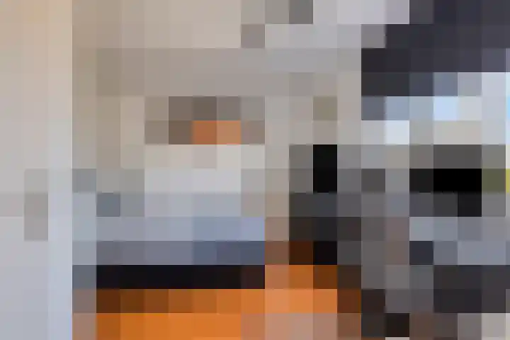 Botter 17 Bergen op Zoom thumbnail 20