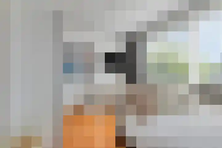 Botter 17 Bergen op Zoom thumbnail 25