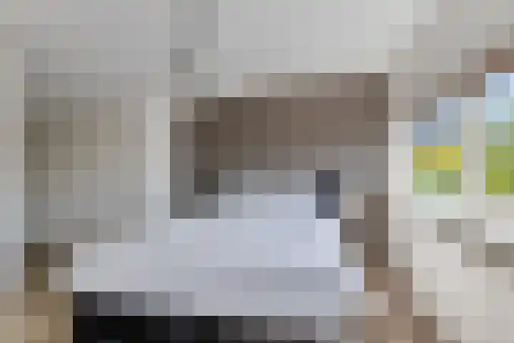 Botter 17 Bergen op Zoom thumbnail 30