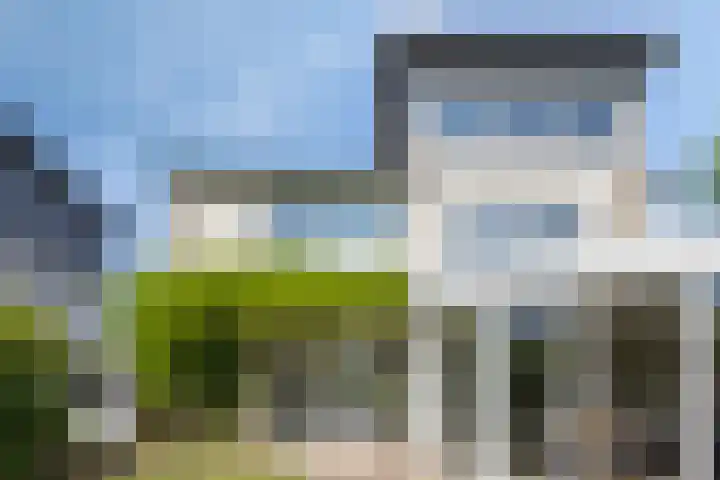 Botter 17 Bergen op Zoom thumbnail 32