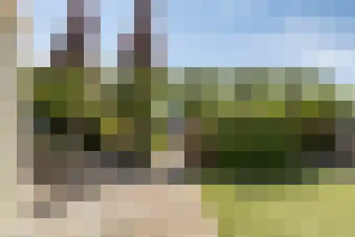 Botter 17 Bergen op Zoom thumbnail 33