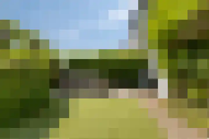Botter 17 Bergen op Zoom thumbnail 34