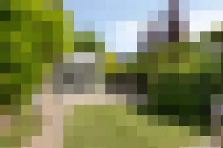 Botter 17 Bergen op Zoom thumbnail 35