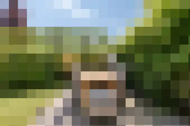 Botter 17 Bergen op Zoom thumbnail 36