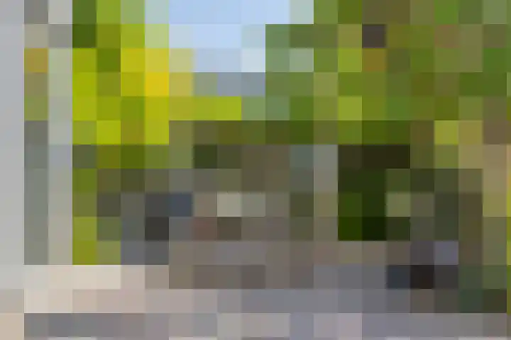 Botter 17 Bergen op Zoom thumbnail 37