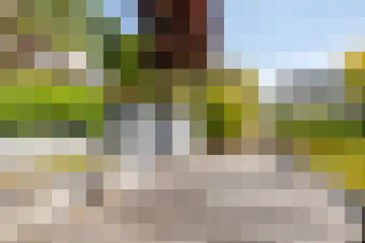 Botter 17 Bergen op Zoom thumbnail 38