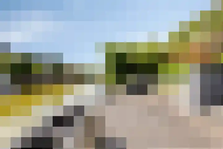 Botter 17 Bergen op Zoom thumbnail 39