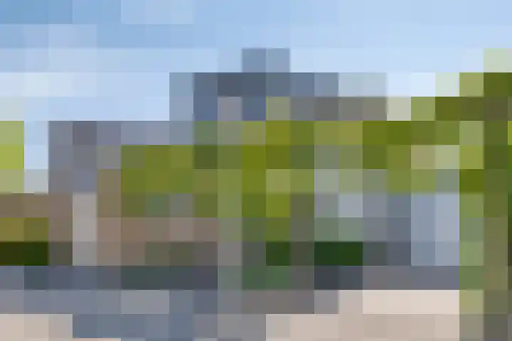 Botter 17 Bergen op Zoom thumbnail 40