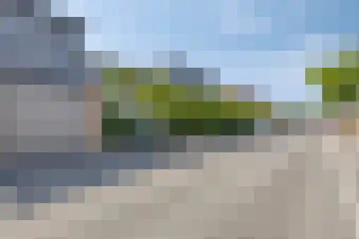 Botter 17 Bergen op Zoom thumbnail 41
