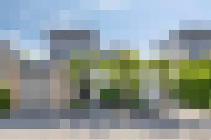 Botter 17 Bergen op Zoom thumbnail 49