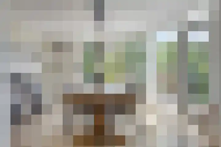 Botter 17 Bergen op Zoom thumbnail 5