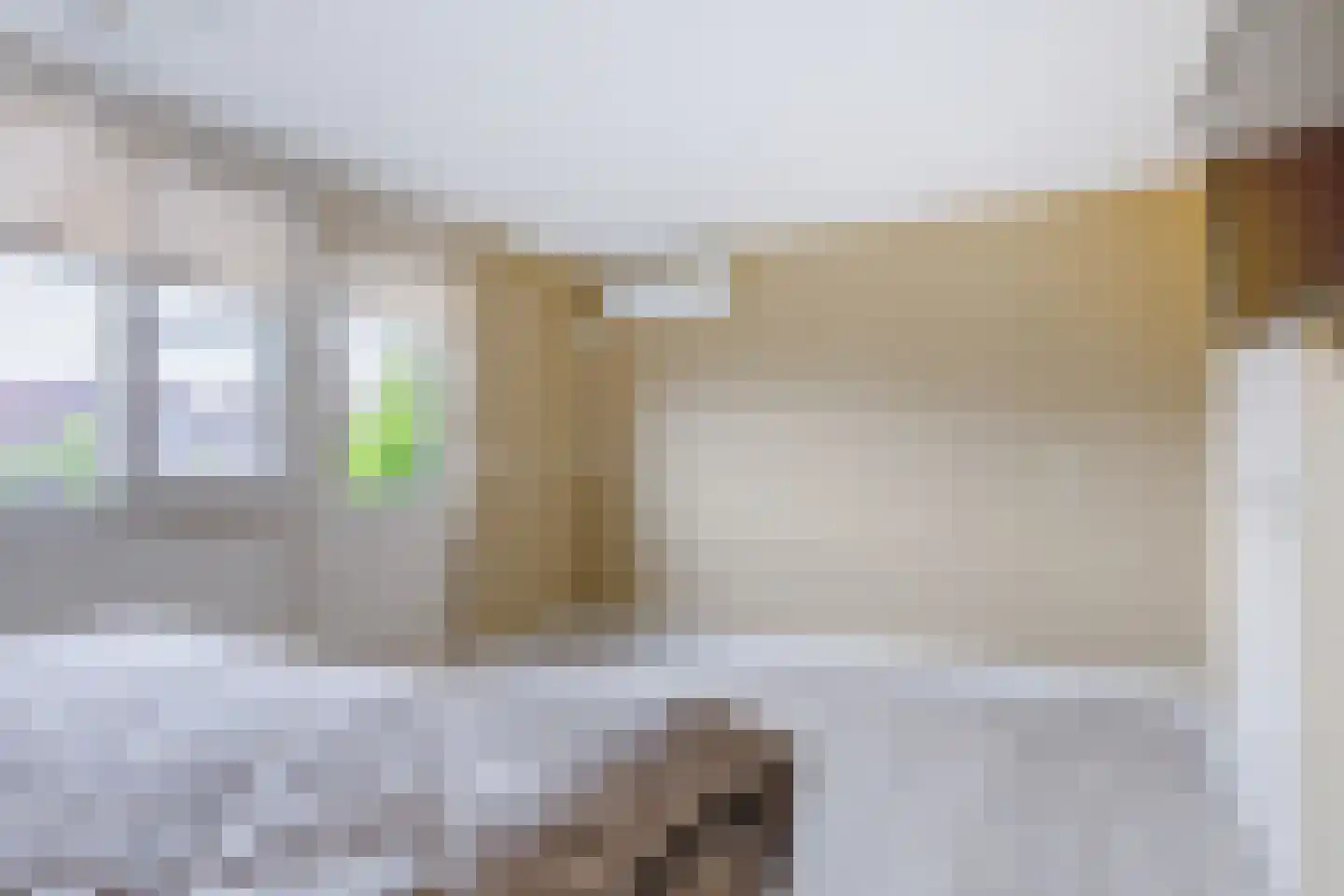 Botter 17 Volendam thumbnail 30