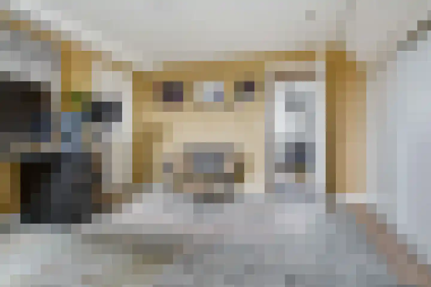 Botter 17 Volendam thumbnail 40