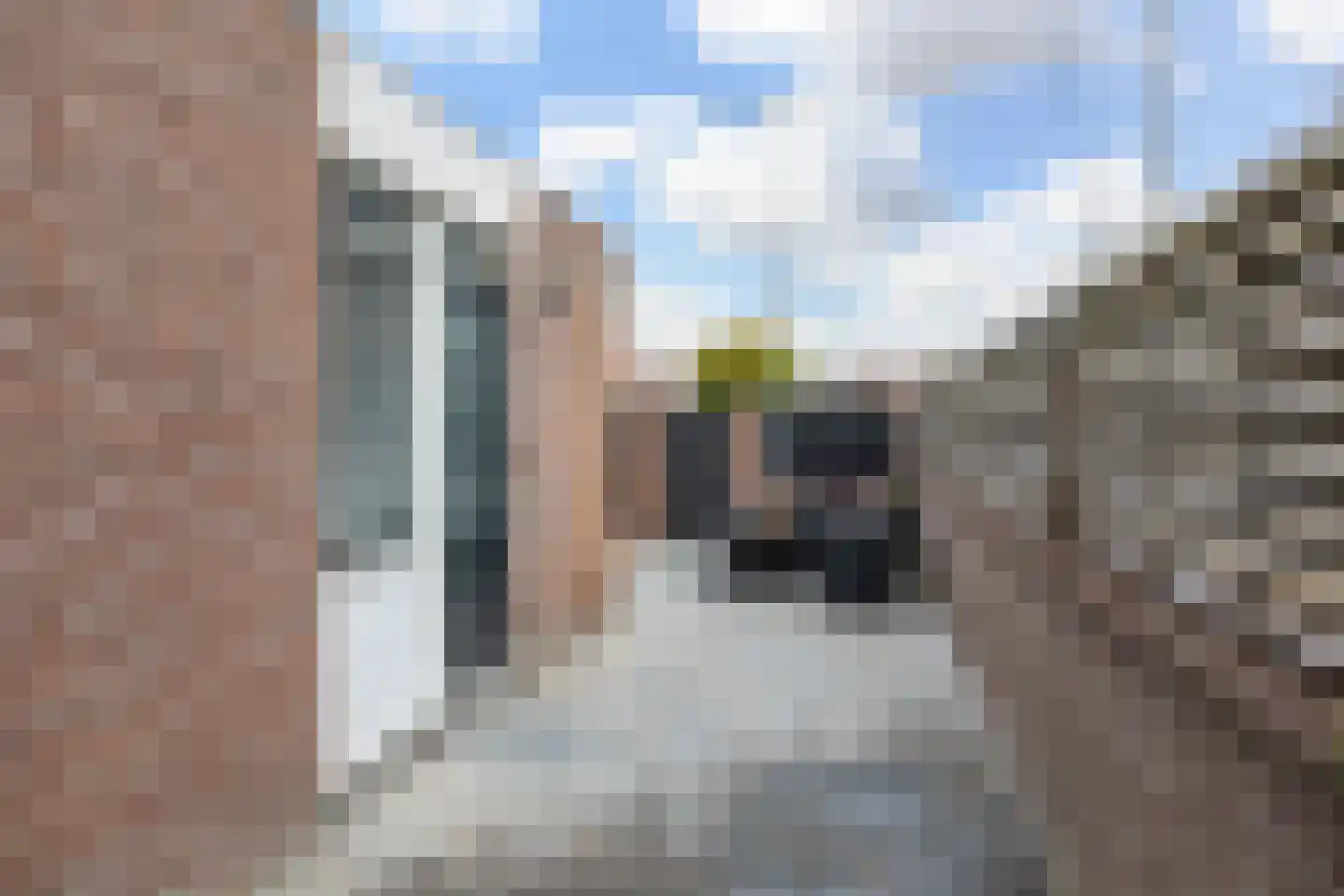 Botter 17 Volendam thumbnail 46