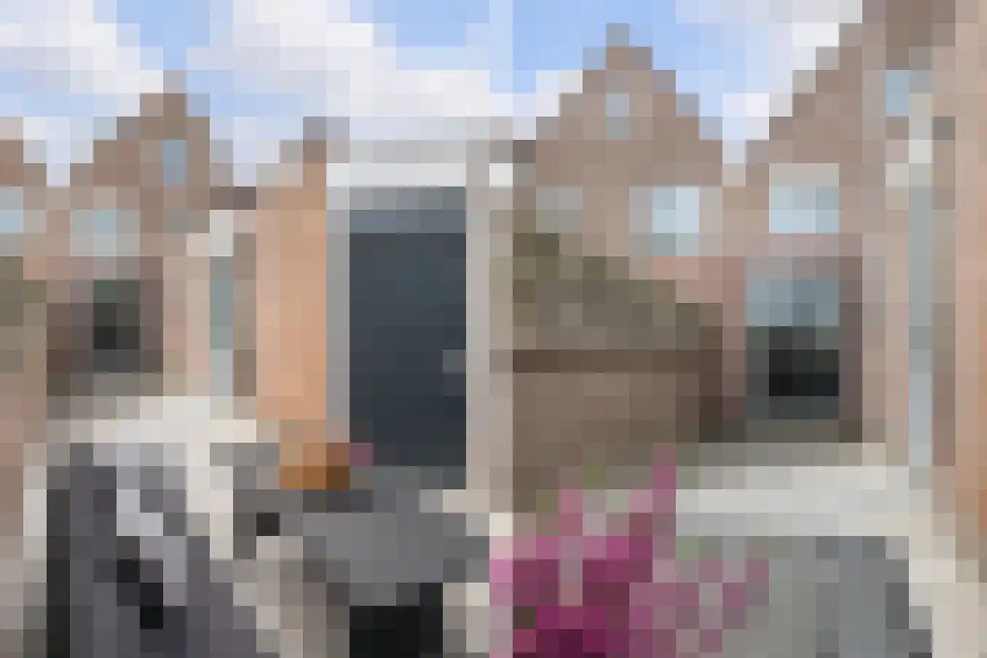 Botter 17 Volendam thumbnail 48