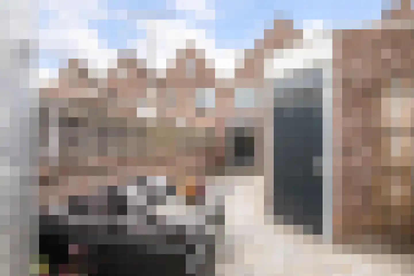 Botter 17 Volendam thumbnail 49
