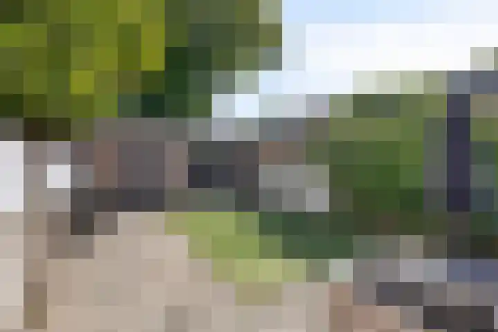 Botter 18 Wieringerwerf thumbnail 10