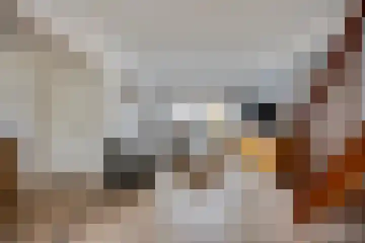 Botter 18 Wieringerwerf thumbnail 11